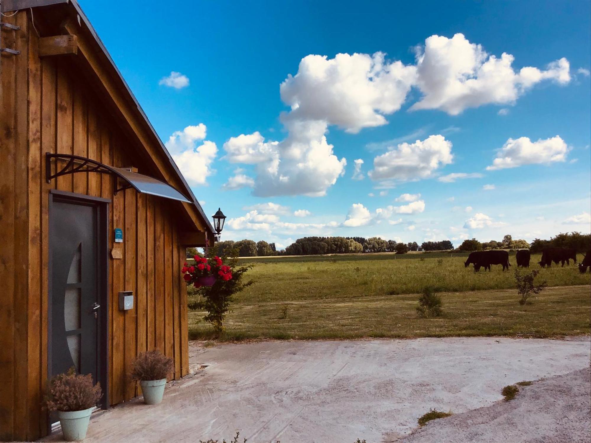 Villers-au-Tertre Le Chalet De La Ferme Du Tertre חדר תמונה